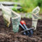 Money planted in dirt