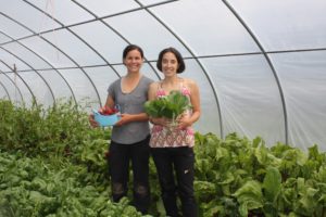 Two women in a greenhouse holding lettuce