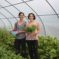 Image of two women in a greenhouse holding lettuce