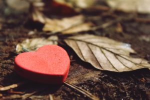 Wooden red heart next to leafs.