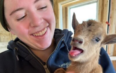 Grazy Acres Wins NVME Marketing Mini-Grant for Midcoast Maine